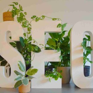 Ways to Improve Technical SEO